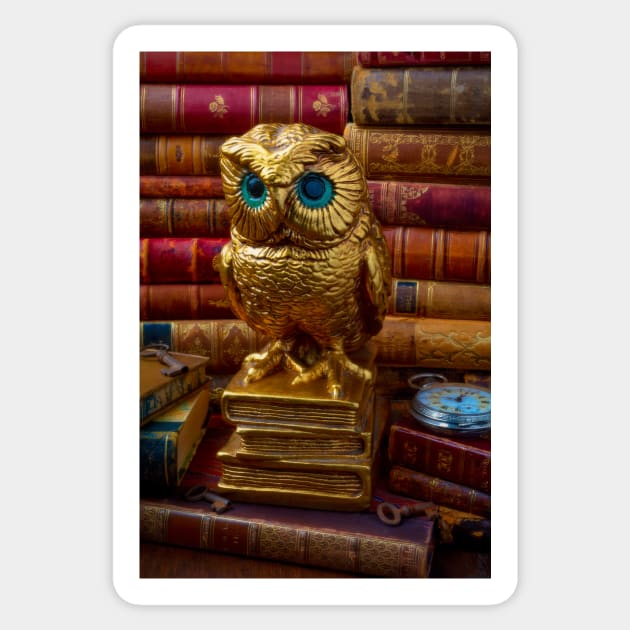 Golden Owl And Old Books Sticker by photogarry